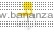 15.SHF-056 yellow.jpg