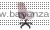b0b9f1266d08ac38eba48a6d507dcbb1.jpg