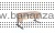 sut_17_main82.jpg