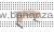 sut_17_srazdstol_izadnprist.jpg